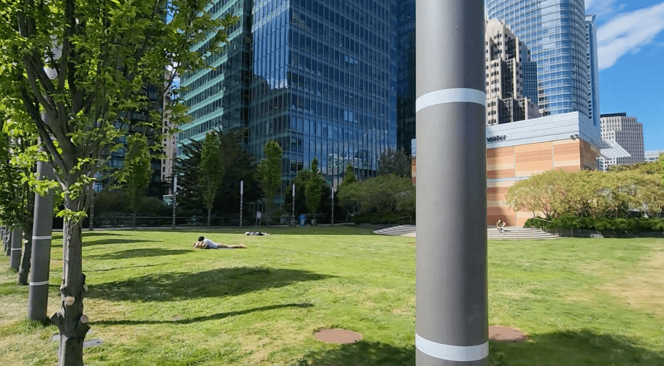 Salesforce Park 1