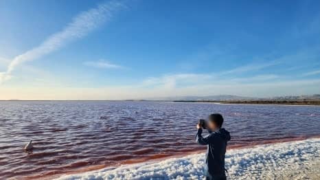 Alviso Marina County Park 1