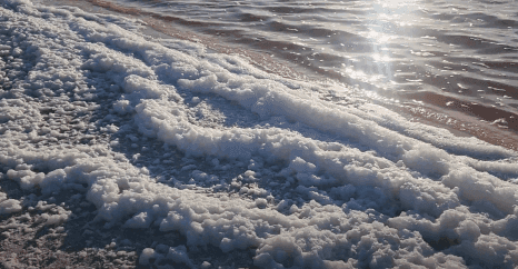 Alviso Marina County Park 2