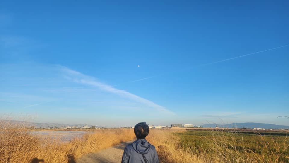 Alviso Marina County Park 3